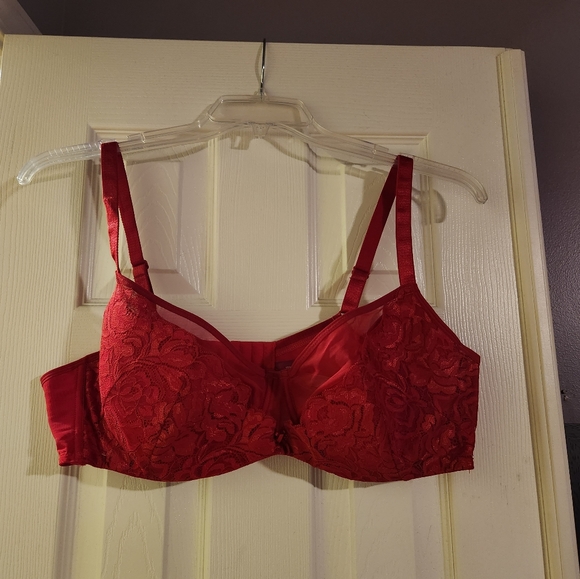 Hips and Curves duet demi red bra - Picture 3 of 6